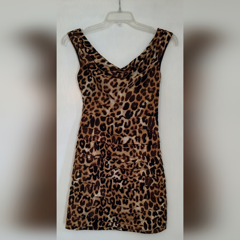 Express leopard print dress